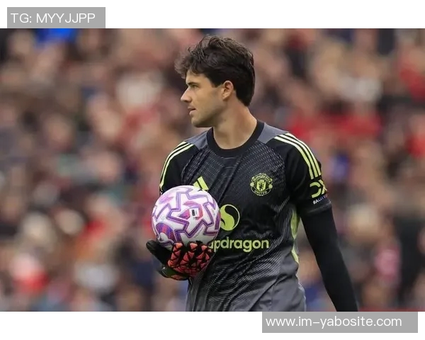 舒梅切尔赞拉门斯年轻却成熟表现出色攻防转换果断带来安全感