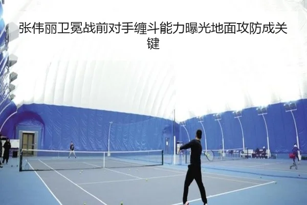 张伟丽卫冕战前对手缠斗能力曝光地面攻防成关键 - Yabo